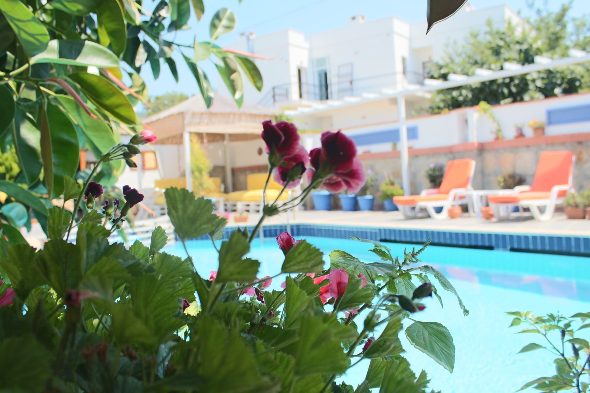 Oya Boutique Otel And Suites Bodrum Exterior photo